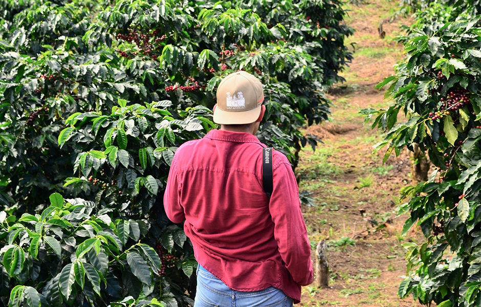 farmer in coffee plantation